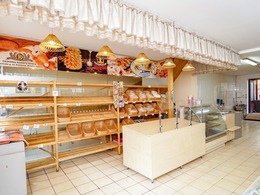 Nuomojamas pastatas M. Tiškevičiaus g. 3, Panevėžio miesto centre 8