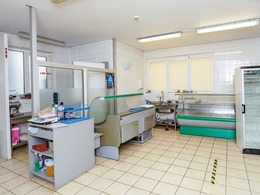 Nuomojamas pastatas M. Tiškevičiaus g. 3, Panevėžio miesto centre 11