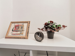 Nuomojamos kosmetologinės paskirties patalpos Tilto g. 7, Senamiestyje, Vilniuje, 8.99 kv.m ploto 16